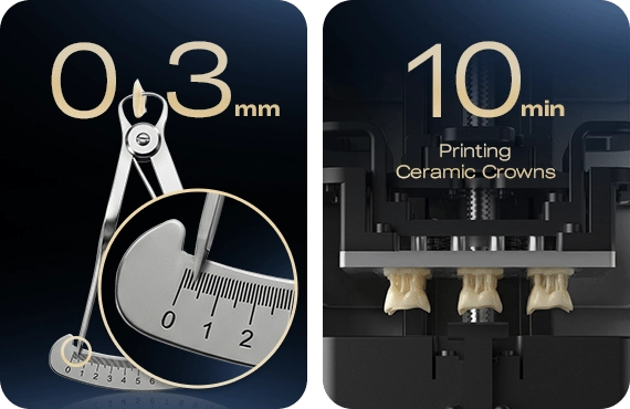 Fast Dental 3D Printing