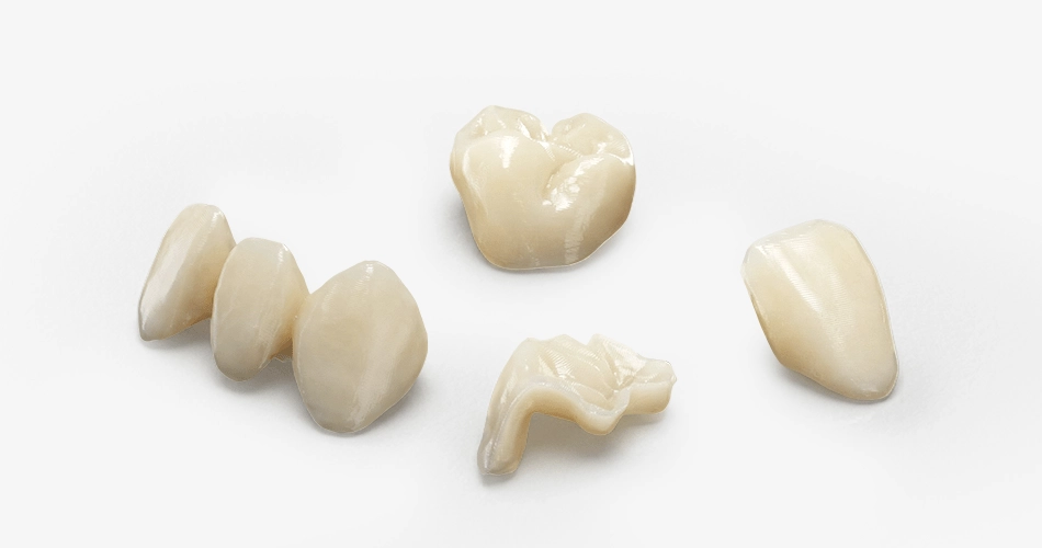 Dental Models